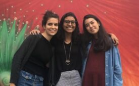 Caroline Oliveira de Carvalho
Maria Cecilia Morais Martins
Júlia Tetsuya da Silva