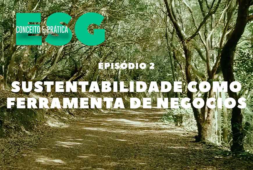 Sustentabilidade: uma ferramenta de negócios