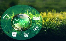 como funciona a economia circular
