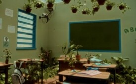 Unicef estufa